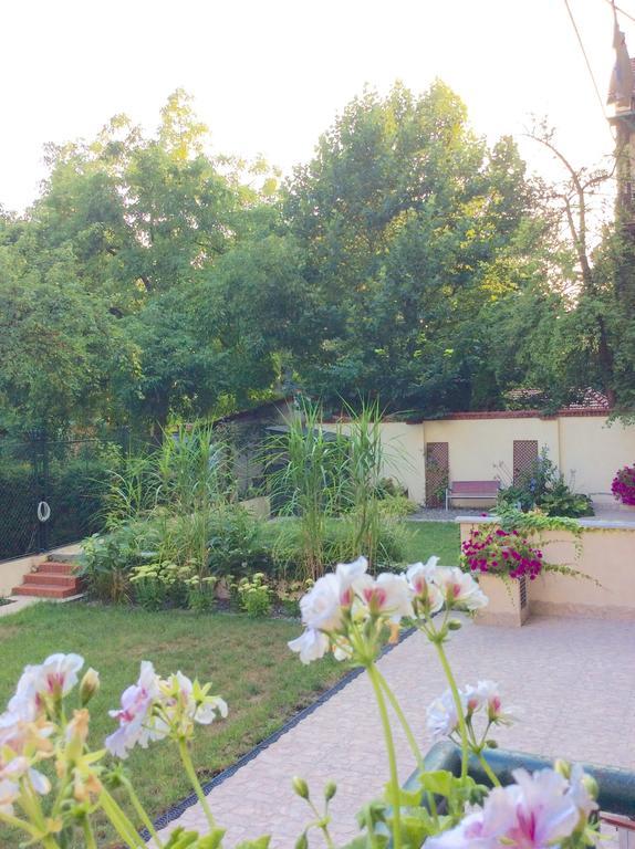 Apartament Amaryllis Krakow Dış mekan fotoğraf