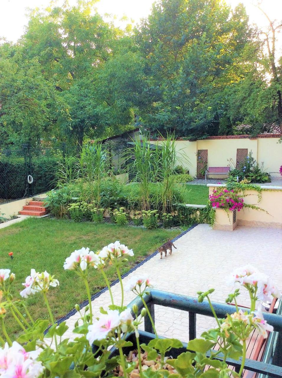 Apartament Amaryllis Krakow Dış mekan fotoğraf